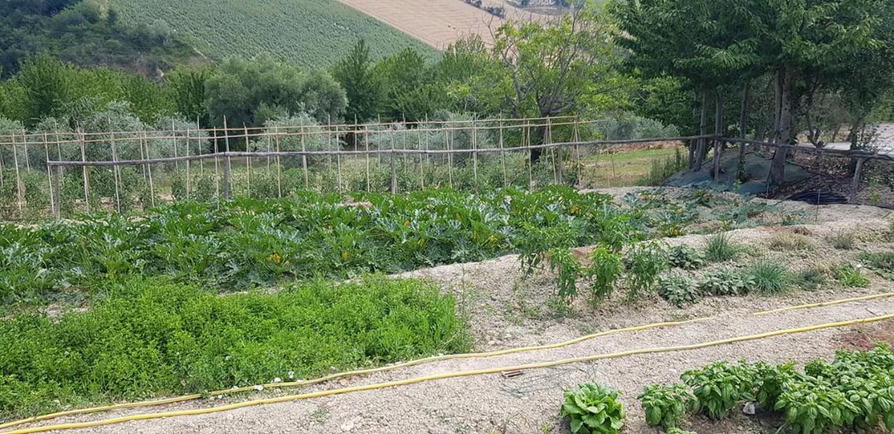 Agriturismo Fiore Di Campo Fermo megye Kültér fotó